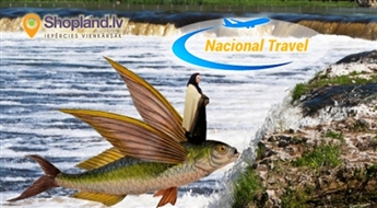 Nacional Travel: 29.04.17 Экскурсиии + шоу рыбы летают в Кулдиге !