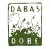 Dabas dobe