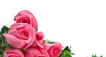Приятное каждый день! Скидка 30% на все виды роз в салоне MINE, цены начиная от 0,28 Ls