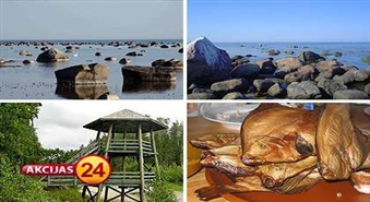 Колка. Слитерсий парк. Знакомство с рыболовецким промыслом. Дегустация рыбы и купание в море!Скидка 50%