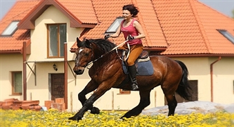 Izjāde ar zirgu vienas stundas garumā ar 50% atlaidi!