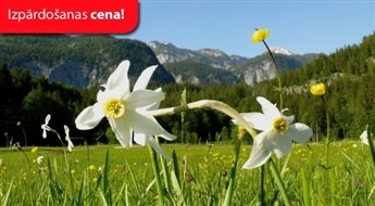 Narcišu svētki Austrijā + viesnīca ar Ls 1 avansu — norēķinies 24 mēnešu laikā / 6 dienas (Relaks Tūre) – Maksā 10% avansu, norēķinies 24 mēnešos!