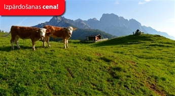 Venēcija — Verona — Alpi — Zalcburga — Vīne / 9 dienas (Remiro Travel) – Maksā 10% avansu, norēķinies 24 mēnešos!