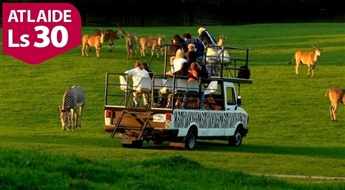 Čehu safari / 6 dienas – Maksā 10% avansu, norēķinies 24 mēnešos!