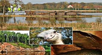 Неизведанное в Латвии! Экскурсия от ANTARIO travel на подводные озера, плавающие замки, ферму страусов и самую высокую скалу со скидкой 50%