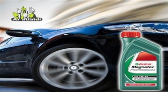 Eļļa CASTROL MAGNATEC PRO OE 4L no Vissauto.lv ar 35% atlaidi