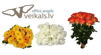 Покупка срезанных цветов  в Veikals.lv с 50% скидкой, только за 5,00 Ls
