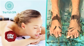 THE FISH SPA piedāvā: ekskluzīvais Garra Rufa zivtiņu pīlings kājām + karsto, auksto un dārgakmeņu masāža kājām, pēdām un mugurai + masāža ar dabīgajām STENDERS eļļām – 61%