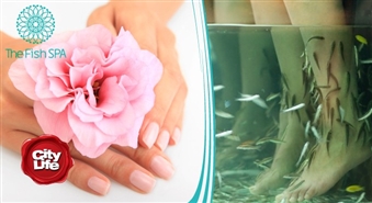 Ekskluzīvais Garra Rufa zivtiņu pīlings kājām + parafīna terapija rokām salonā THE FISH SPA – 50%