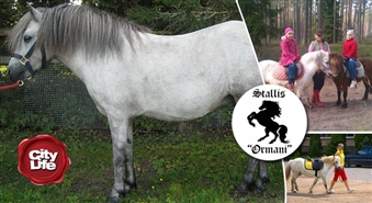 STALLIS ORMAŅI piedāvā: pusstundu ilga izjāde ar poniju vai zirgu – 52%