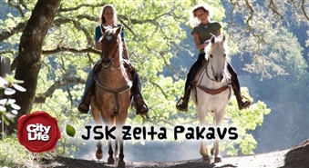 Izjāde ar zirgu no JSK ZELTA PAKAVS – 60%