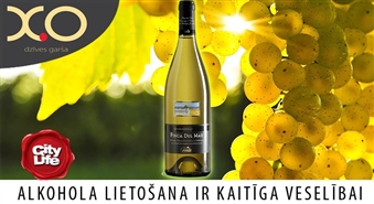 X.O: izsmalcināts baltvīns Finca del Mar Chardonnay no saulainās Spānijas – 69%