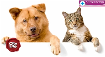 Veterinārā klīnika VETCENTRS piedāvā: kompleksā vakcinācija sunim vai kaķim ar 50% atlaidi! Parūpējies par savu mīluli!