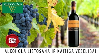 EIROVĪNS: отменное итальянское красное вино Mezzacorona Teroldego Rotaliano D.O.C. - 36%