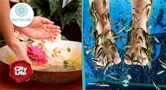 THE FISH SPA: eksotiskais Garra Rufa zivtiņu pīlings kājām – 54%