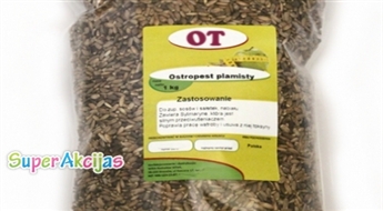 Mārdadžu sēklas (1 kg)