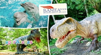 BANITA TOUR: Delfinārijs Klaipēdā un Dinozauru parks: vienas dienas ceļojums uz Lietuvu!