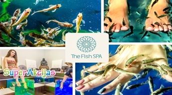 Aqua - пилинг рыбками Гарра Руфа в салоне FISH SPA! Незабываемые ощущения - приятная атмосфера.