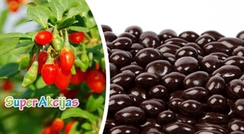 Tibetas Goji ogas beļģu šokolādē, 200 g! Ļoti garšīgi un veselīgi!