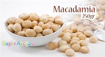 Макадамия (250гр) – самый полезный и дорогой орех на свете – 40%