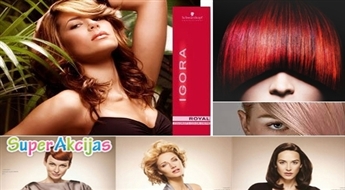 Стрижка волос, покраска с краской Schwarzkopf IGORA ROYAL и укладка! Новый образ!