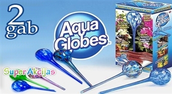 Stikla tilpnes "AquaGlobe” automatizētai istabas augu laistīšanai, komplektā (2 gab)! Jūsu puķes būs pateicīgas.