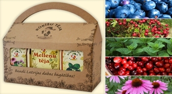 Dabīgs Latvijas produkts "Rūķīšu tēja" - 5 dažādas tēju šķirnes - labākā un veselīgākā dāvana ar 50% atlaidi!