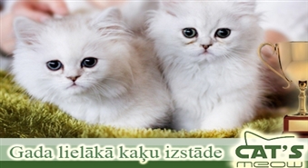 Gada lielākā kaķu izstāde "Baltijas kauss 2011" ar 51% atlaidi!