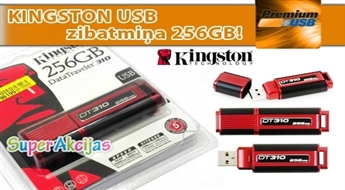 Вся информация с собой! KINGSTON DataTraveler 310 USB flash 256GB!