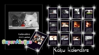 Дизайнерский календарь "Коты" на 2013.год формата А3, праздники и именины!