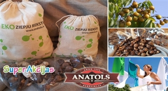 SUPER EKOLOĢISKA MAZGĀŠANA! Ziepju rieksti 500g! Līdz pat 50% izdevīgāki kā parastie mazgāšanas līdzekļi!