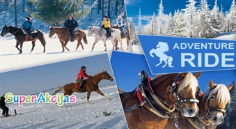 Brauciens kamanās, skijorings vai izjāde ar zirgu - ziemas piedzīvojumi no ADVENTURE RIDE ar 57% atlaidi!