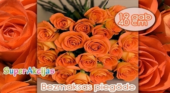 Piedāvājums tiem, kas mīl! 19 oranžas rozes (40 cm) Sv.Valentīna dienā ar piegādi Rīgā!
