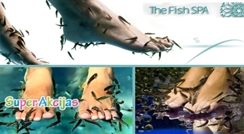 Пилинг рыбками Гарра Руфа в салоне FISH SPA! Незабываемые ощущения - приятная атмосфера.