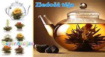 Ekskluzīvs jaunums tējas pasaulē! Ekskluzīva „Ziedošā tēja” no Ķīnas ar brīnumainu garšu ar 50% atlaidi!