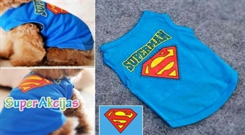 Стильная майка SuperMan для самой модной собачки!