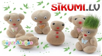 Небольшое чудо на Вашем рабочем столе! Grow-A-Head Doll ("Травяная голова”)!