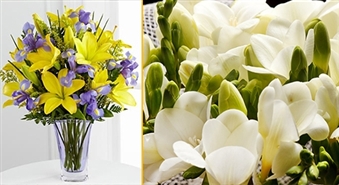 FLOWERS2RIGA: rozes, frēzijas vai krāsains pušķis ar BEZMAKSAS PIEGĀDI Rīgā - 50%