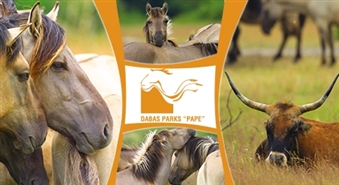 Dabas parks PAPE: gida vadīta ģimenes ekskursija savvaļas zirgu un tauru ganībās -50%