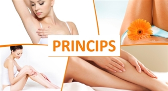 Vaksācija kājām visā garumā + paduses vai vaksācija bikini + paduses skaistumkopšanas salonā PRINCIPS, Liepājā – 50%