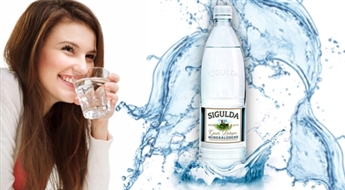 Ūdens spēks no zemes dzīlēm: gāzēts dabīgais minerālūdens „Sigulda” (0.5 l x 12) - 29%