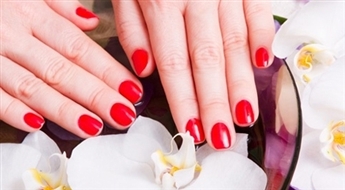 Palermo Beauty Salon: klasiskais manikīrs ar laku vai Gelish pārklājumu līdz - 57%