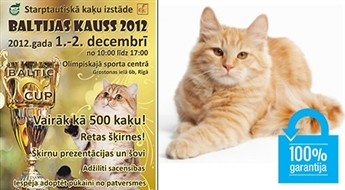 Gada lielākā kaķu izstāde “Baltijas Kauss 2012” - 50%