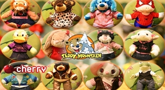 Сердечный друг, сделанный своими руками - игрушка от Teddy Mountain -50%