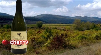Болгарские вина из коллекции Medi Valley  -40%