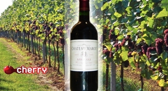 Eirovīns предлагает: красное французское вино Chateau Marot -44%