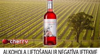 Eirovīns: итальянское вино Mandorla Salento Negroamaro Rosato -53%
