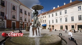 Igaunija: leģendām apvītais Pjuhticas sieviešu klosteris un Tartu botāniskais dārzs -50%