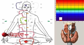 Компьютерная диагностика всего организма + заключение врача + рекомендации-50%