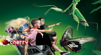 5D kino: cita realitāte -50%
